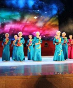 第二屆中國老年文化藝術節 第二屆中國老年文化藝術節