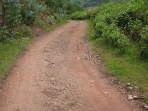 金盤河村 金盤河村