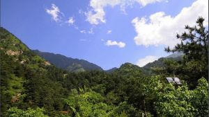 松山森林旅遊區 松山森林旅遊區