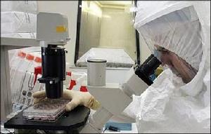 法國科學家正在研究名為“基孔肯雅”的病毒