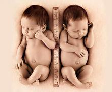雙胞胎[胎生動物一次懷胎生下兩個個體]