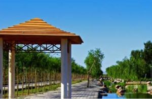 玉泉湖公園 玉泉湖公園