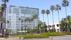 日本大阪市立大學 日本大阪市立大學