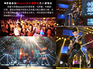 德力西30周年慶典晚會