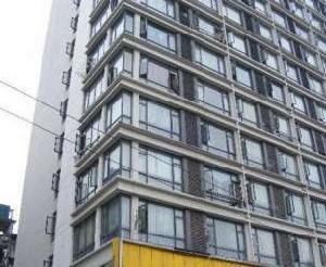 金葉SOLO 金葉SOLO