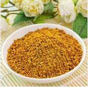 茶花蜂花粉 茶花蜂花粉