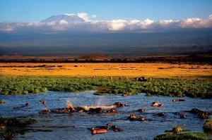 （圖）吉力馬札羅山