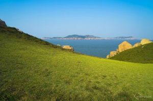 天然草地 天然草地