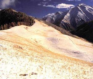 四川小金四姑娘山國家級自然保護區