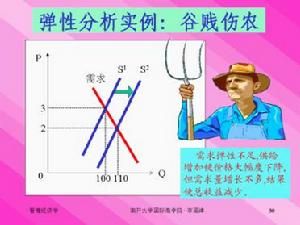 價格決策 價格決策