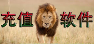 充值軟體 充值軟體