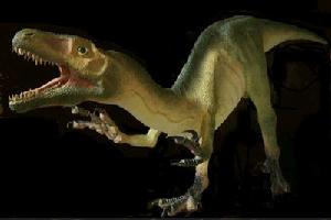 瓦爾盜龍 瓦爾盜龍