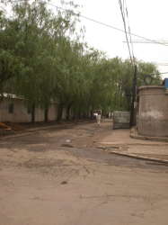 文竹家園 文竹家園