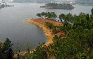 新洲-道觀河 新洲-道觀河