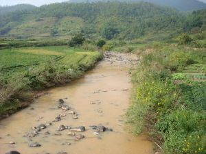 河外自然村 河外自然村