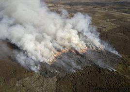 廣東省森林防火管理規定 廣東省森林防火管理規定