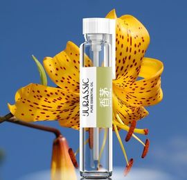 香茅精油 香茅精油