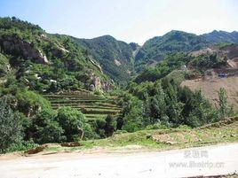 河道裁彎工程 河道裁彎工程