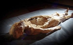 屍體買賣 屍體買賣