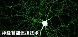 欣奇蹟神經智慧型遙控技術