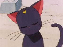 露娜[日本動漫美少女戰士中的貓]