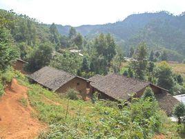 新林村[吉林船營區歡喜鄉下轄村]