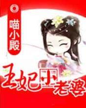 王妃小老婆 王妃小老婆