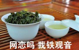 網戀嗎我鐵觀音