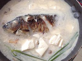 魚湯豆腐湯 魚湯豆腐湯