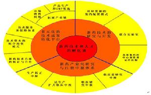 上海華拓醫藥科技-發展模式