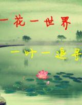 一花一世界,一葉一追尋 一花一世界,一葉一追尋