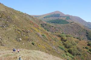 大海坨國家級自然保護區