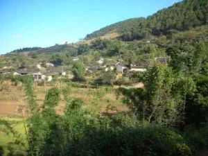 羊勐壩自然村 羊勐壩自然村