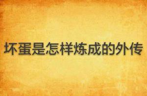 壞蛋是怎樣煉成的外傳 壞蛋是怎樣煉成的外傳