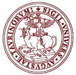 都靈大學 都靈大學