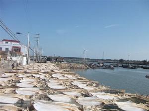 湖東[廣東省汕尾市下轄鎮]