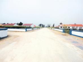 西家嘴村 西家嘴村