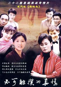 不可觸摸的真情 不可觸摸的真情