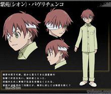 紫苑·帕布利切柯