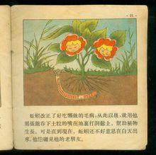 蚯蚓和蜜蜂的故事