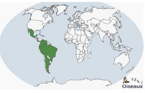 橫紋虎鷺分布圖