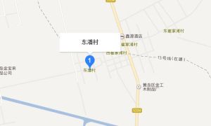 東潘村[山東膠南市張家樓鎮下轄村]