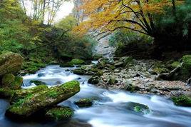 陝西黎坪國家森林公園 陝西黎坪國家森林公園