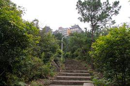 大霧尖古道 大霧尖古道