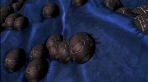 《俠嵐》中的螭蟜