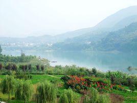 齊山公園 齊山公園