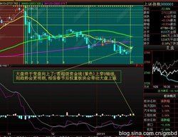 洪城股份 洪城股份