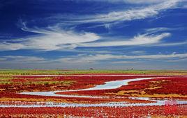 黃河三角洲濕地 黃河三角洲濕地