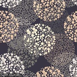 波爾卡圓點 波爾卡圓點