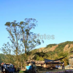 叫水坑村 叫水坑村